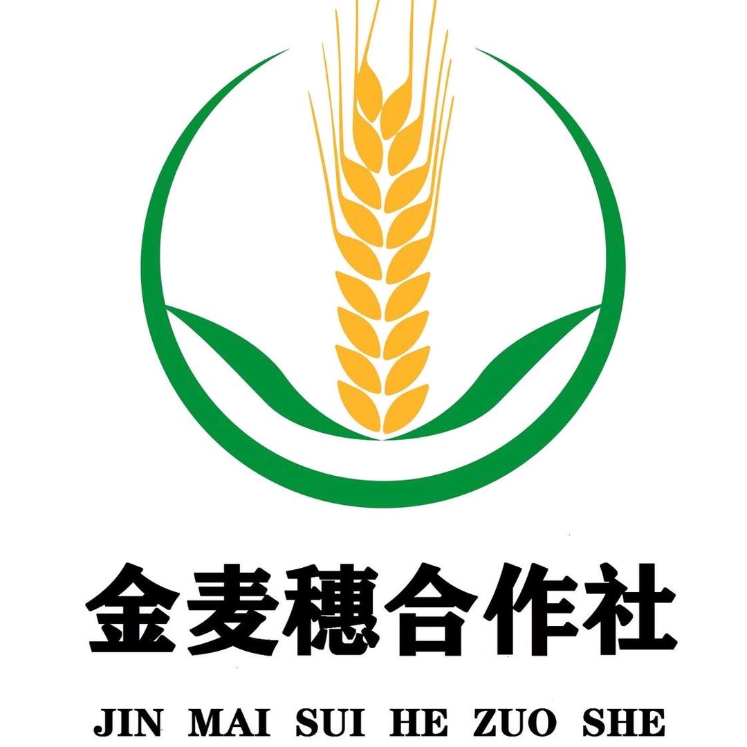 清丰县金麦穗农业种植合作社