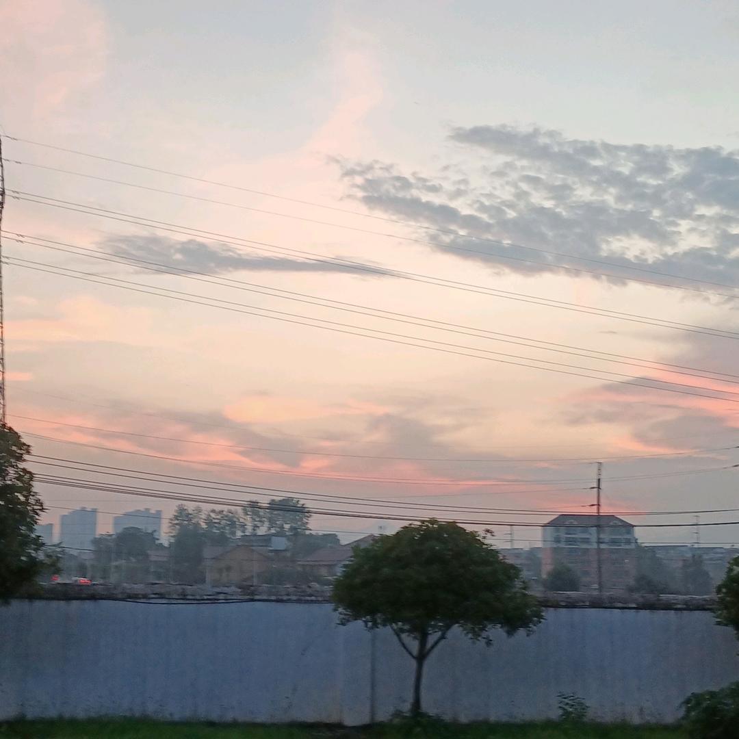 周J杰a伦y