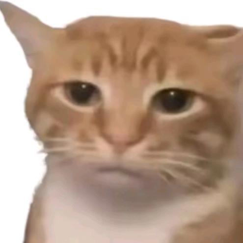 诗与远方