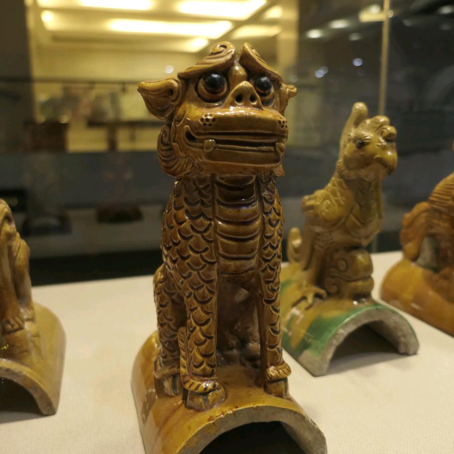 小琪同学的生活日记