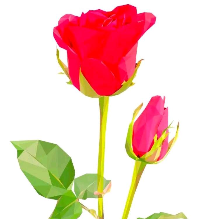 🌷明天更美好👑