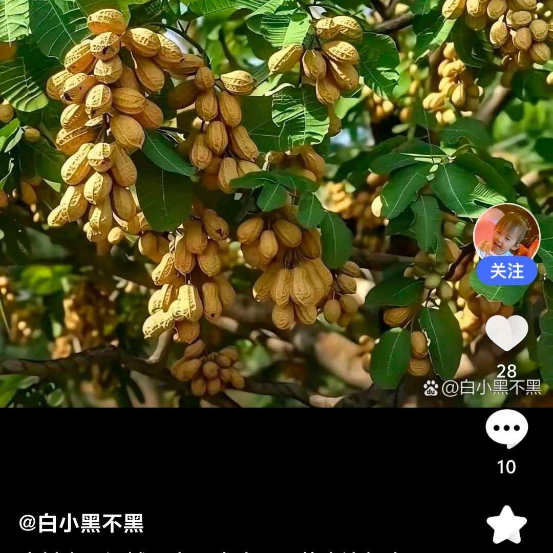 为农民做点事招工招生