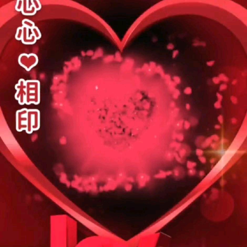 护花使者9040