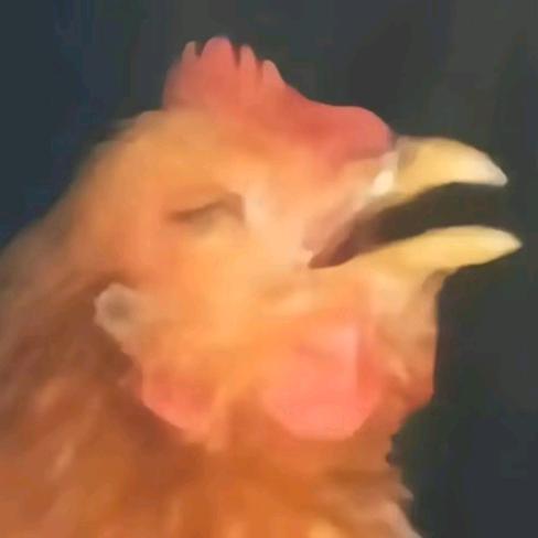 》启动《