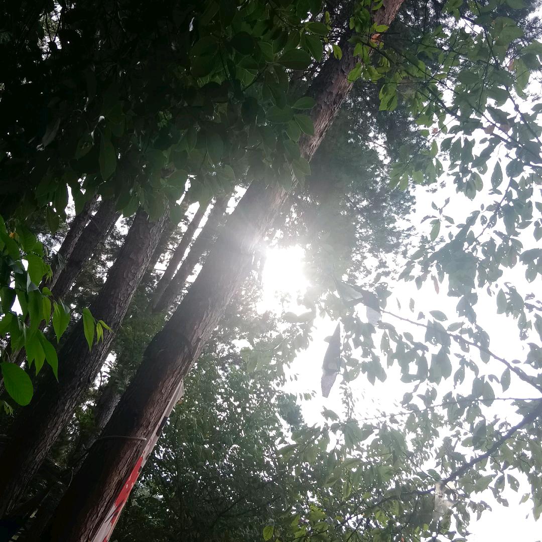 沃想静静