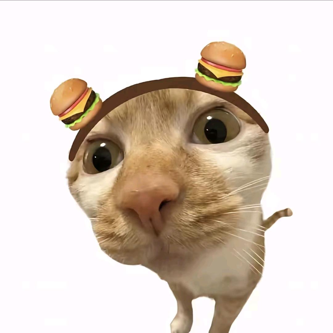 哈基喵头像