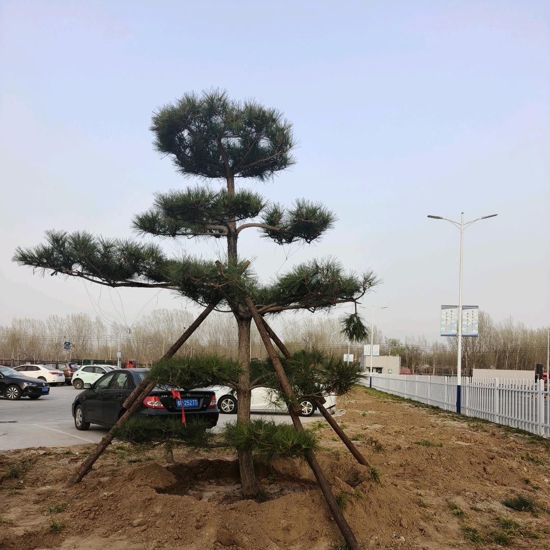 用户9014276442895
