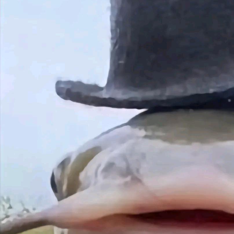 打野与对抗（lol手）