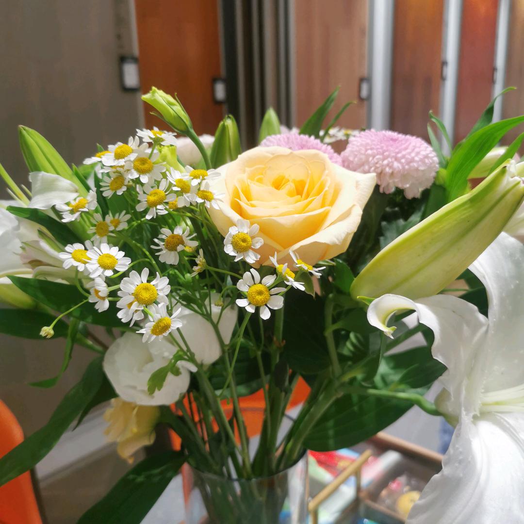 郑州天格实木地板杨晓娜