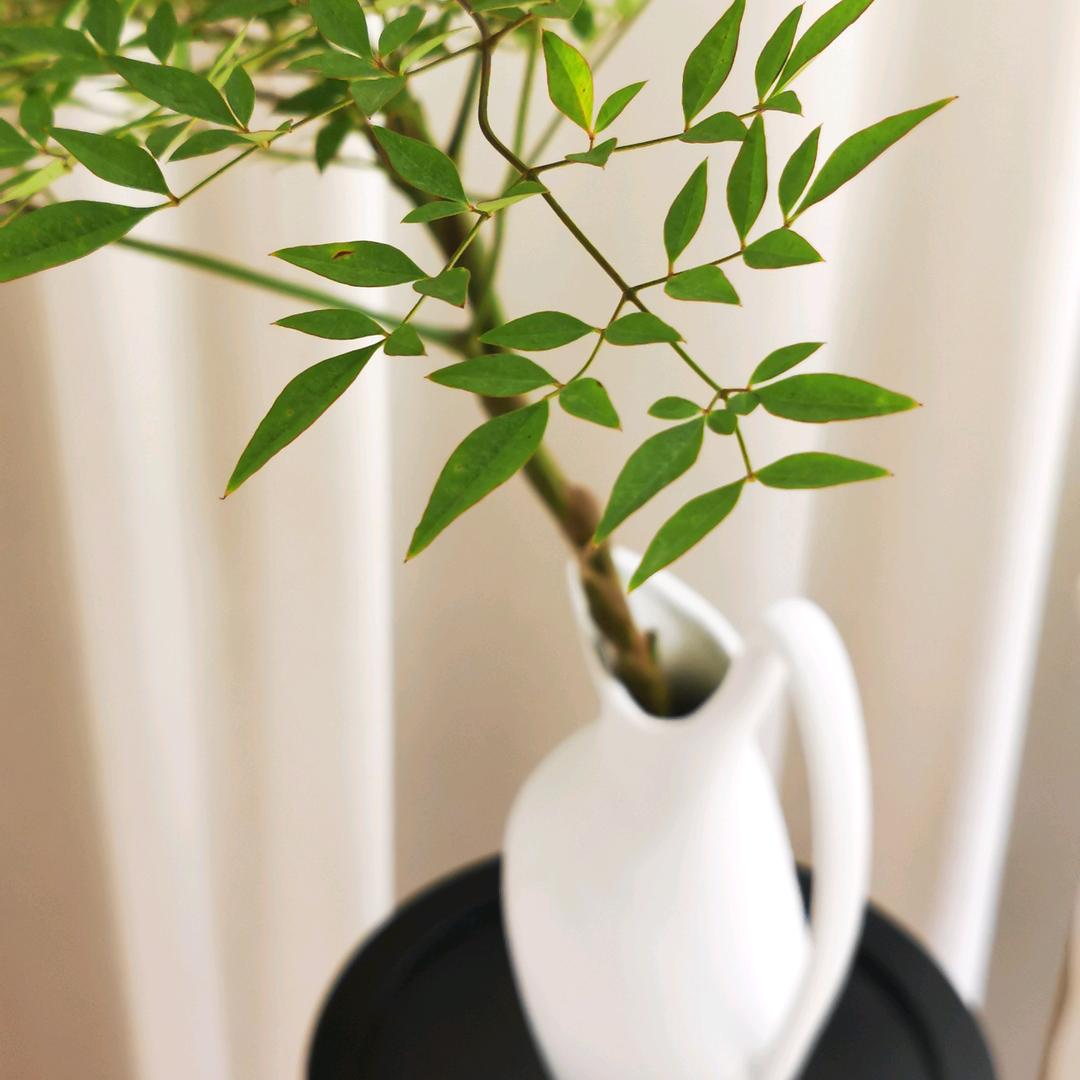 春风花艺