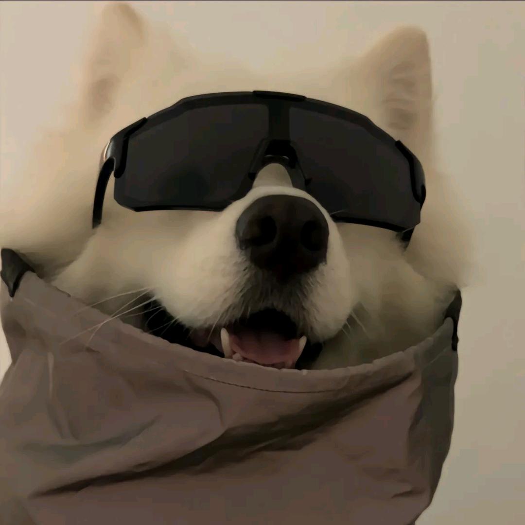 小w