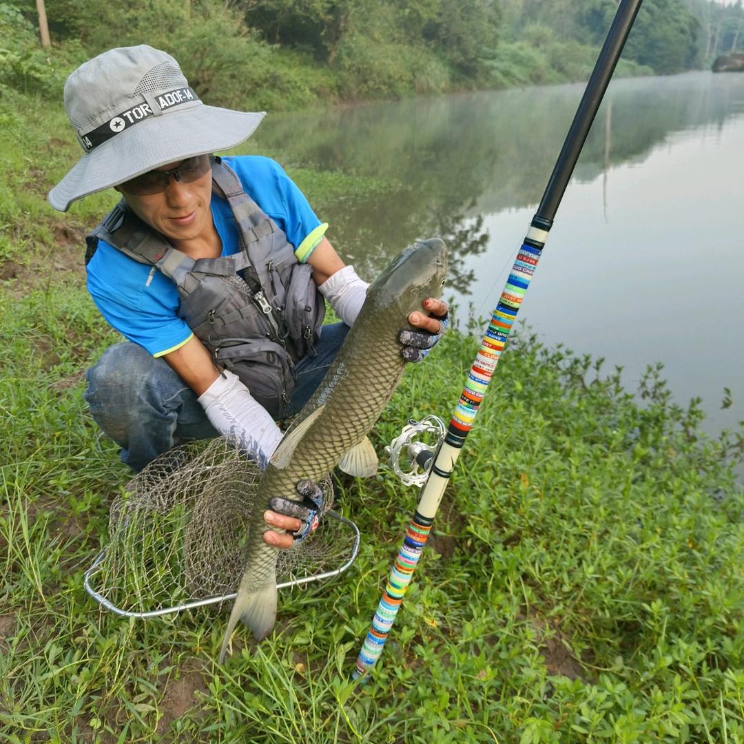 🎣立竿见影🐟