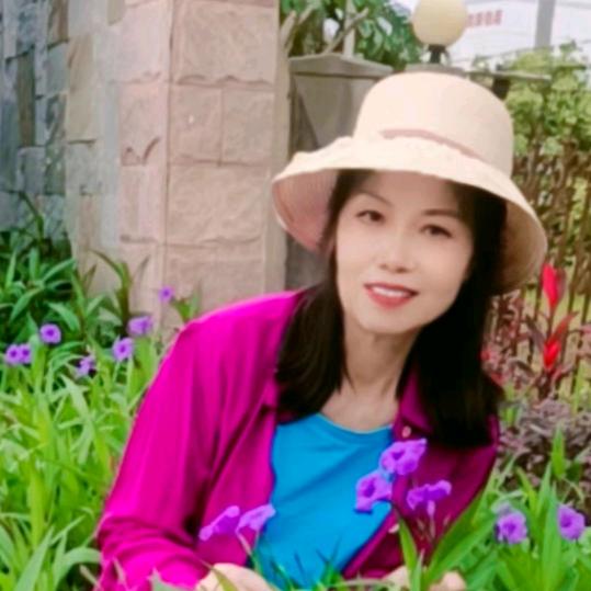 杨记