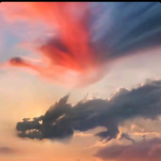 ♡.†ฅr̶烈酒℃灼言℡`