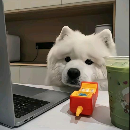 彻夜 ￴ ￴￴ ￴