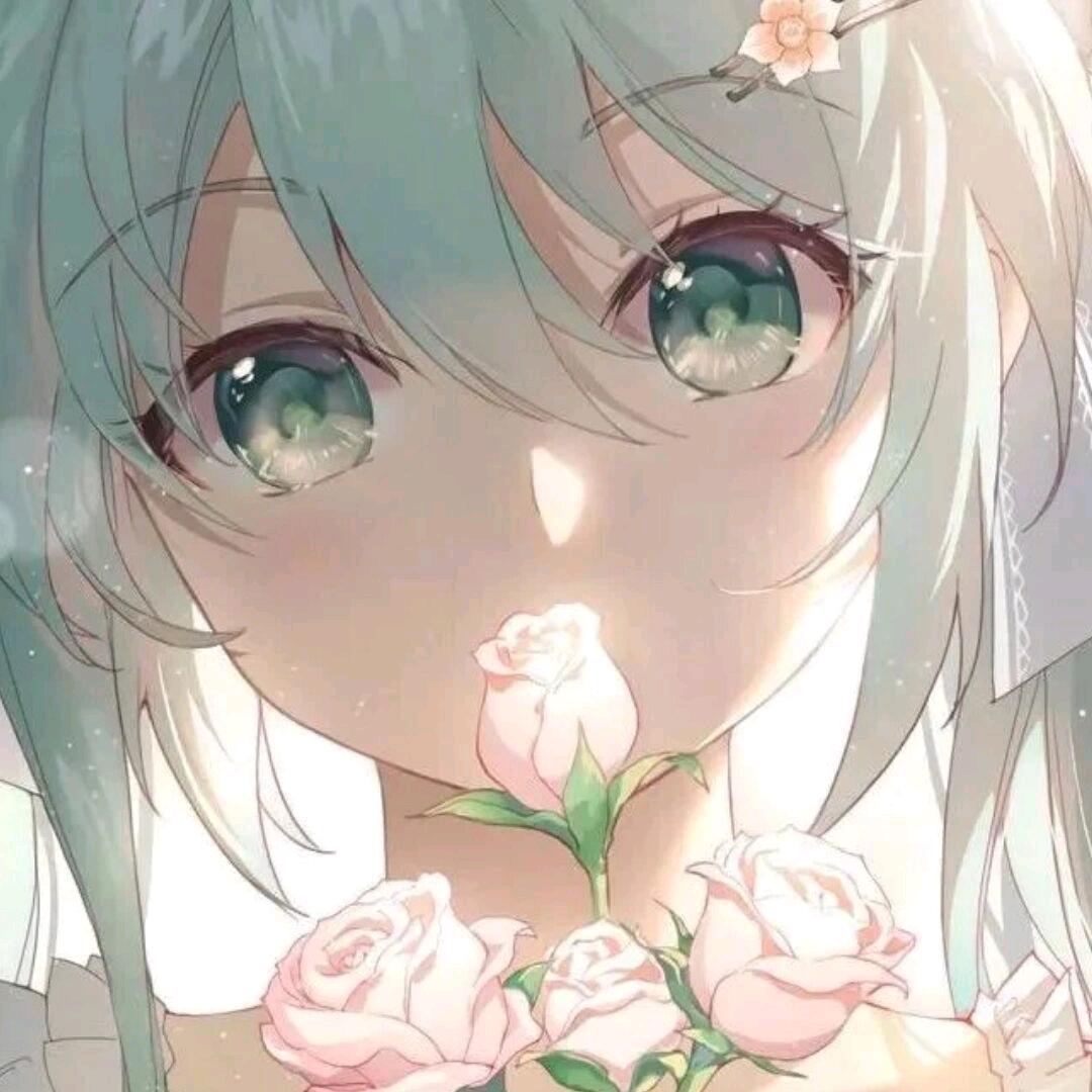 巨噬汤圆