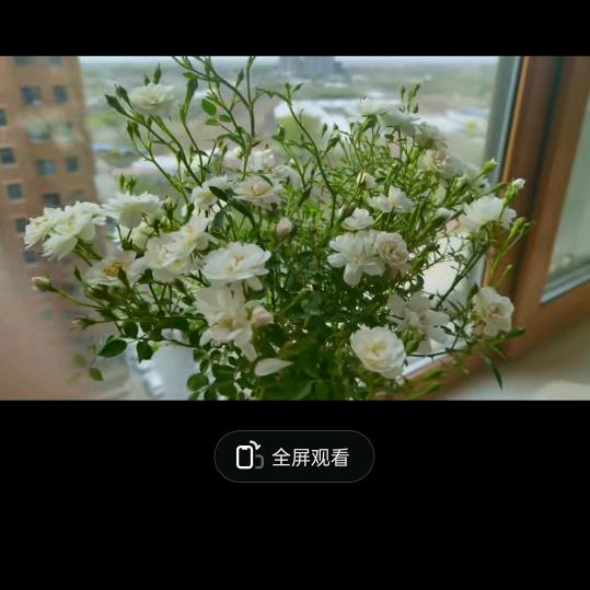 起点💫