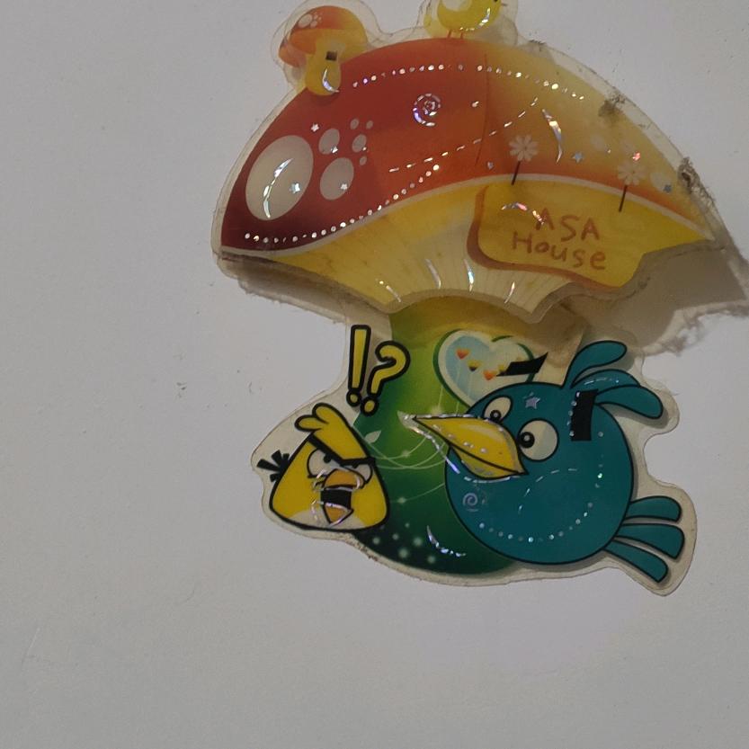 大胖优选