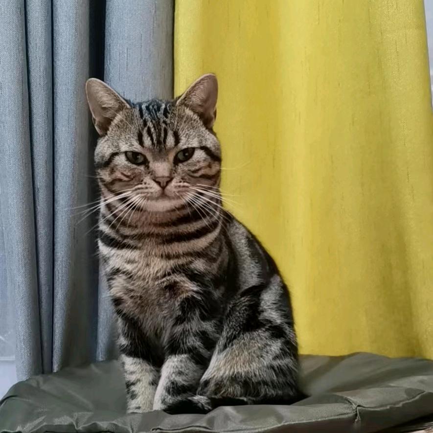 复盛科目三专业合场何教练