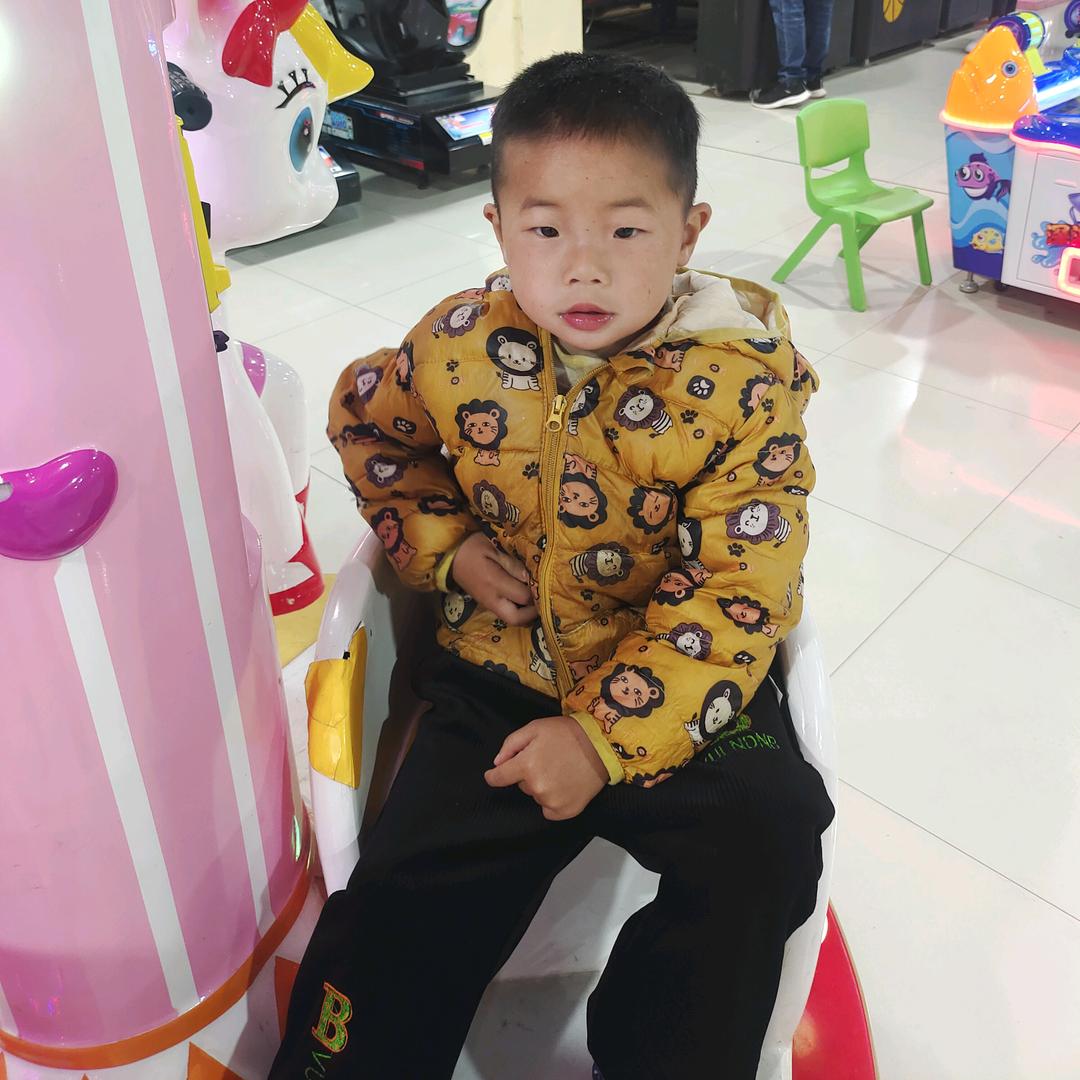 🌹✨陈蒙李爱520❤️