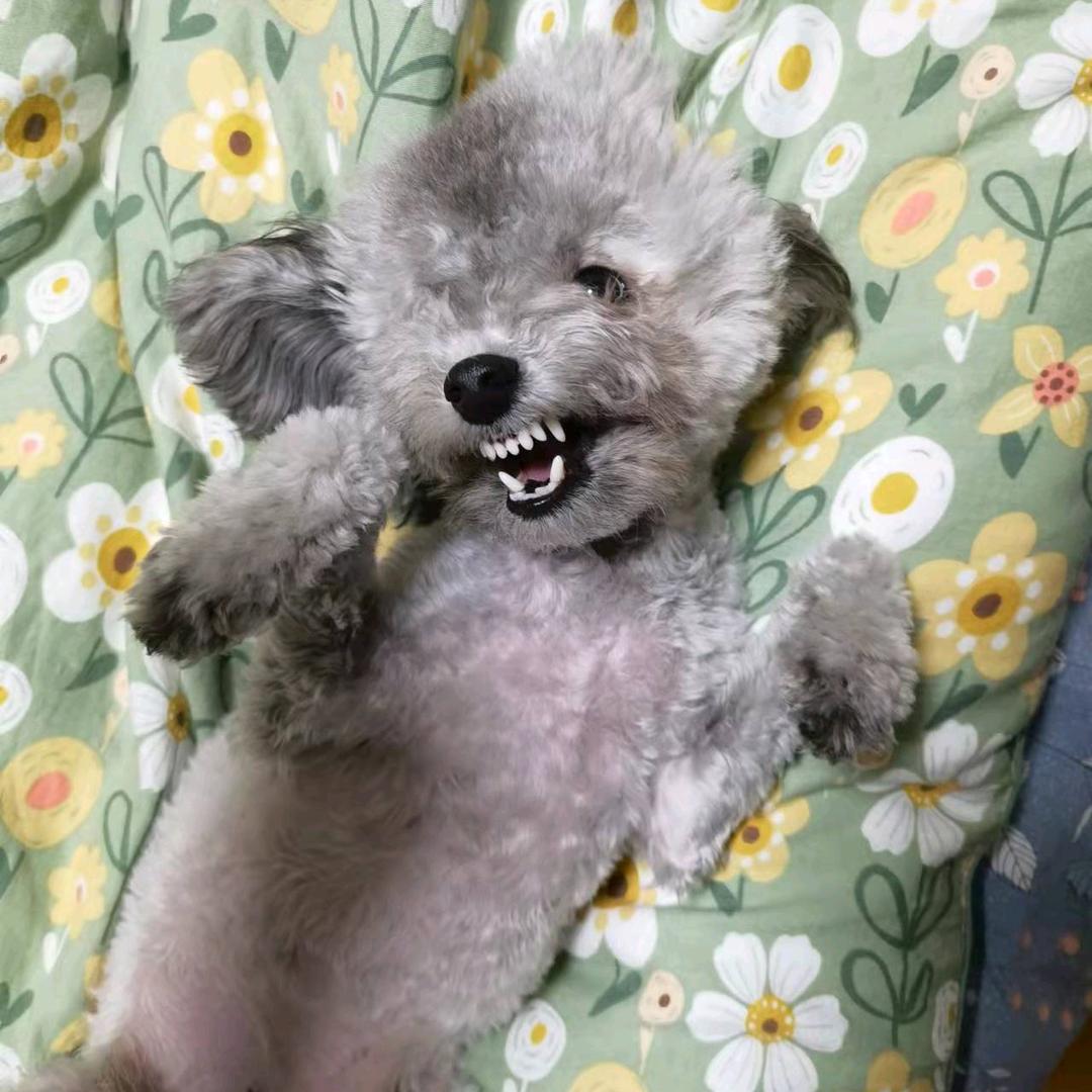 巴音布鲁克没有海