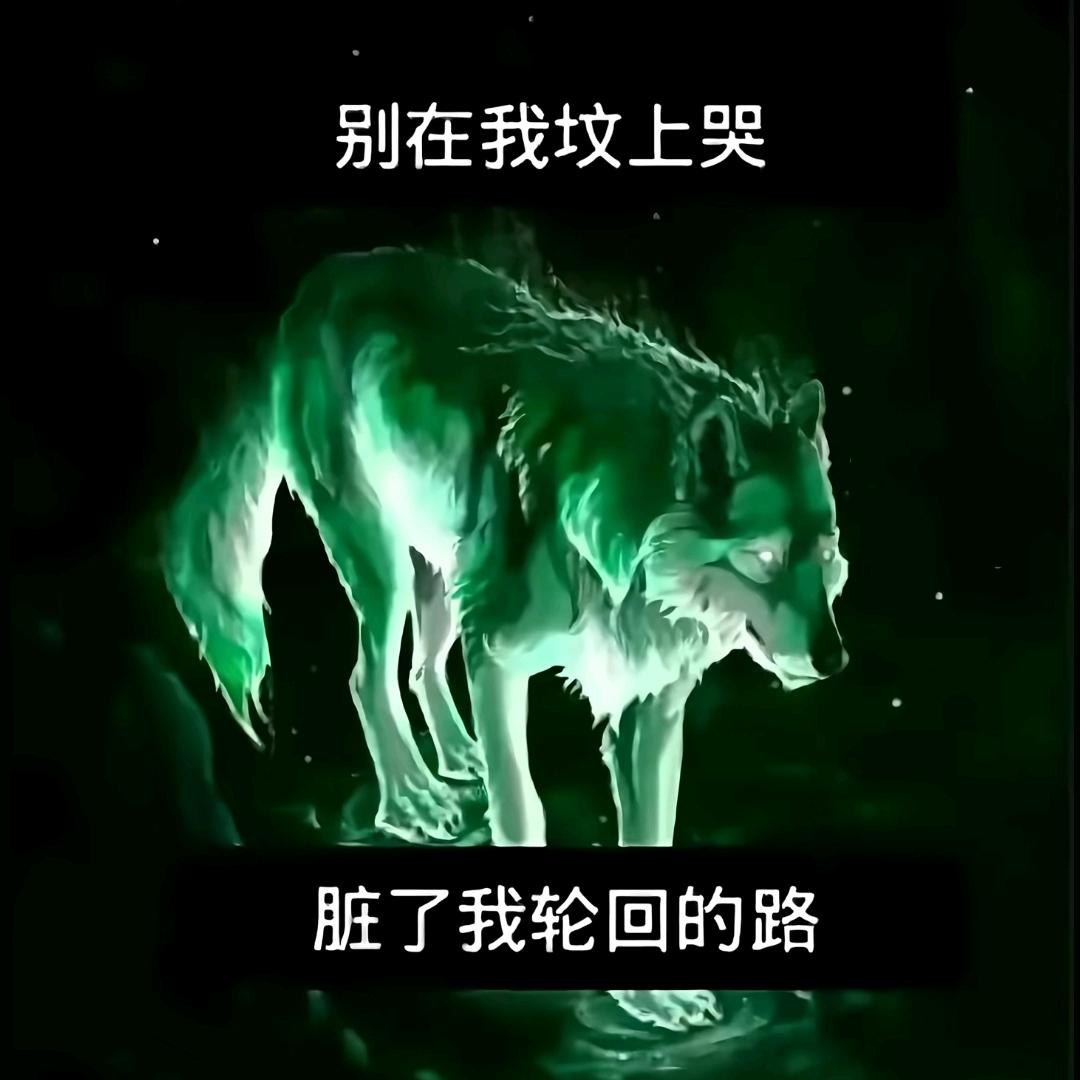 AAA土鸡蛋批发航总