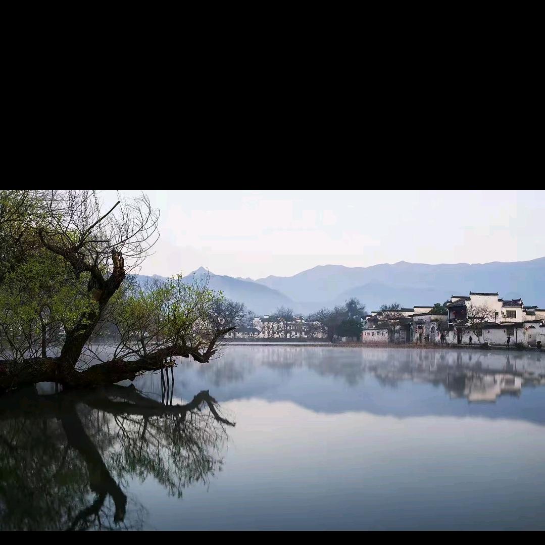 校长大号（安徽枞阳）