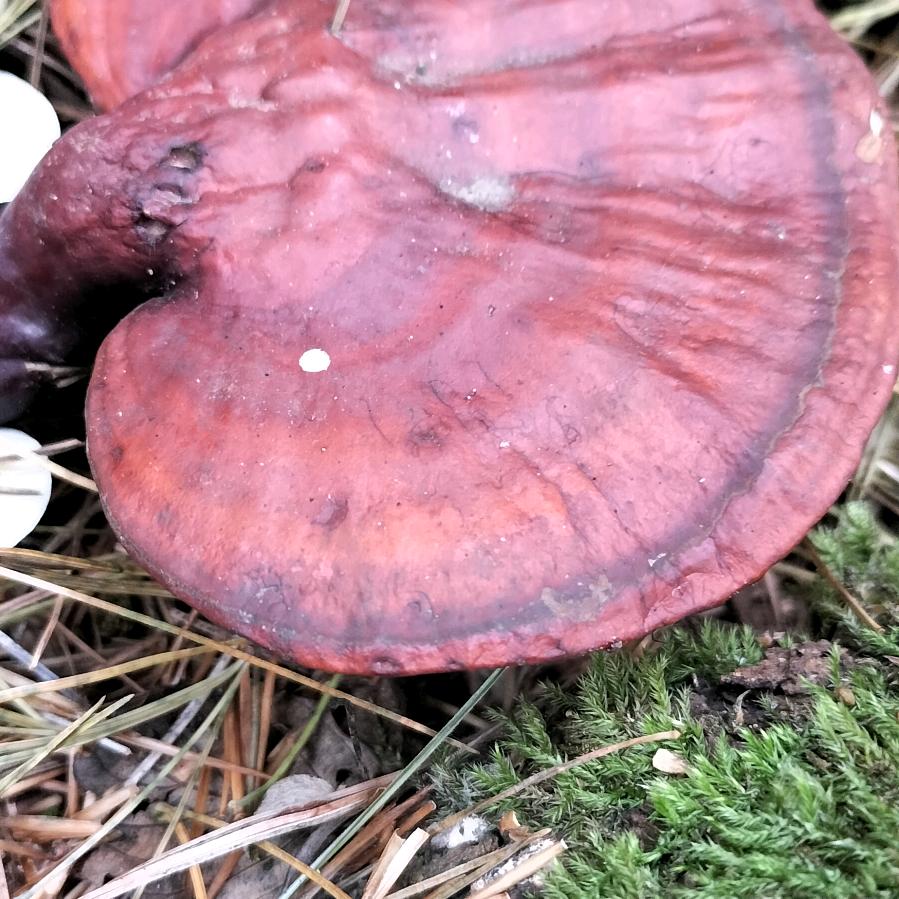 往后余生靠自己