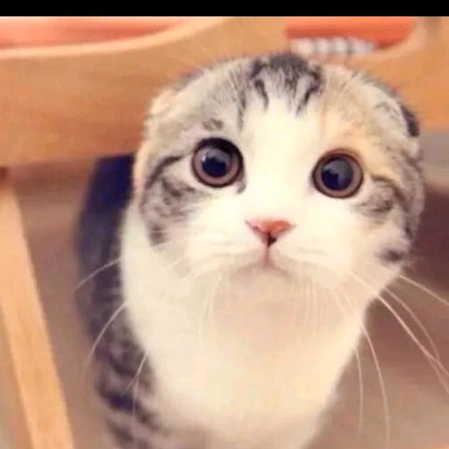 ﹎ωǒ们偠开鈊!？