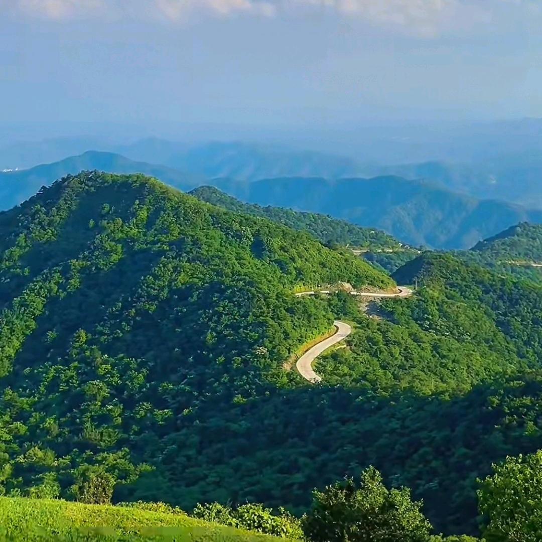 山川（户外寻蜂）