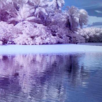 陌陌甄选好物品