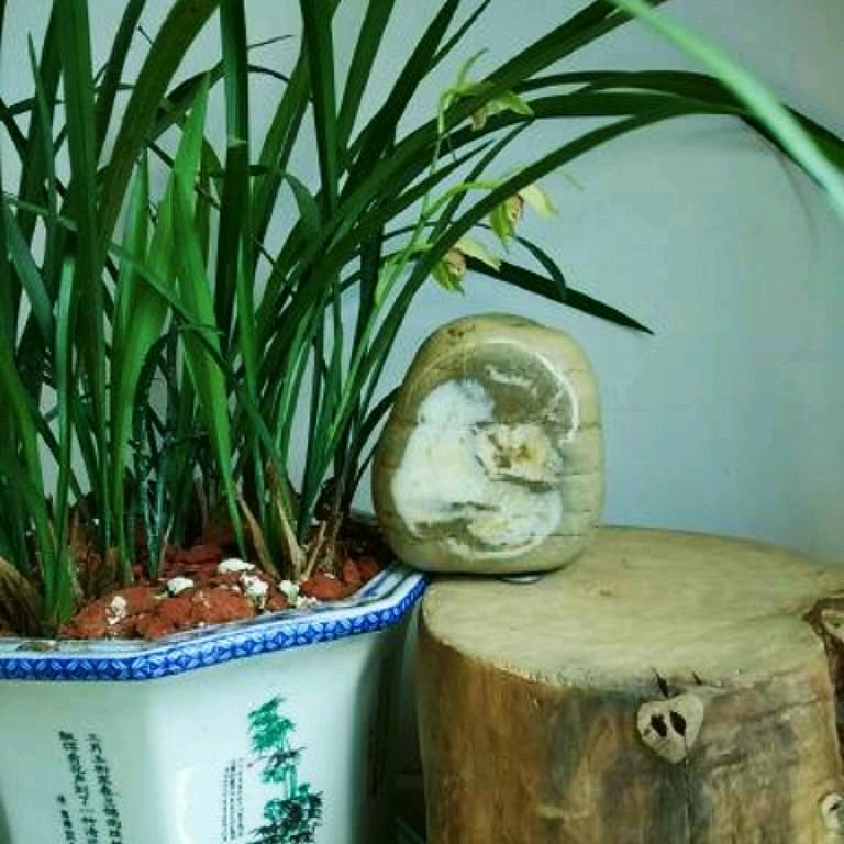 梁老石