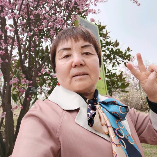 宝奶1