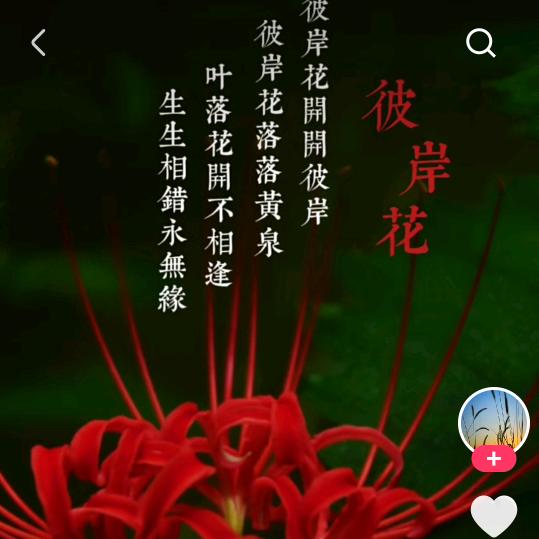 【封心锁爱】