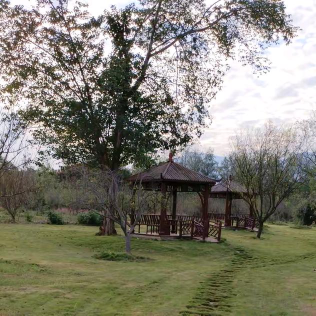 拾起自己(简单的活着)