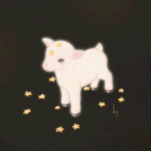 爱吃葡萄的芋圆