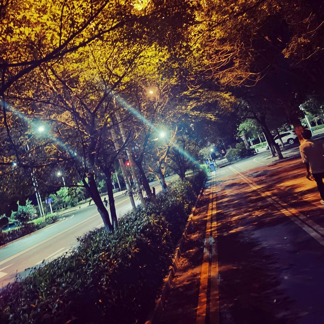 阿中在努力🐴🐴