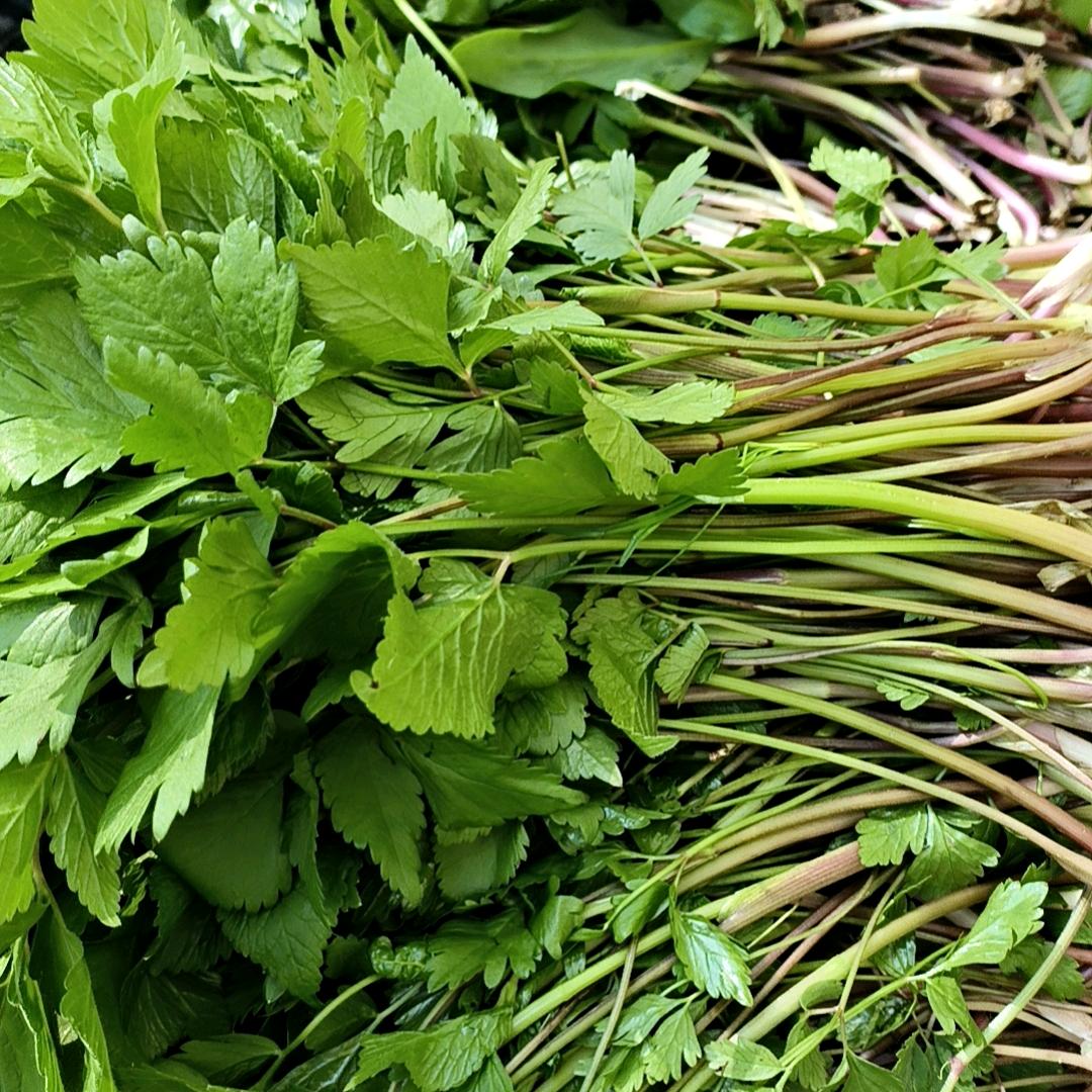 用户9849646109706山滋美味