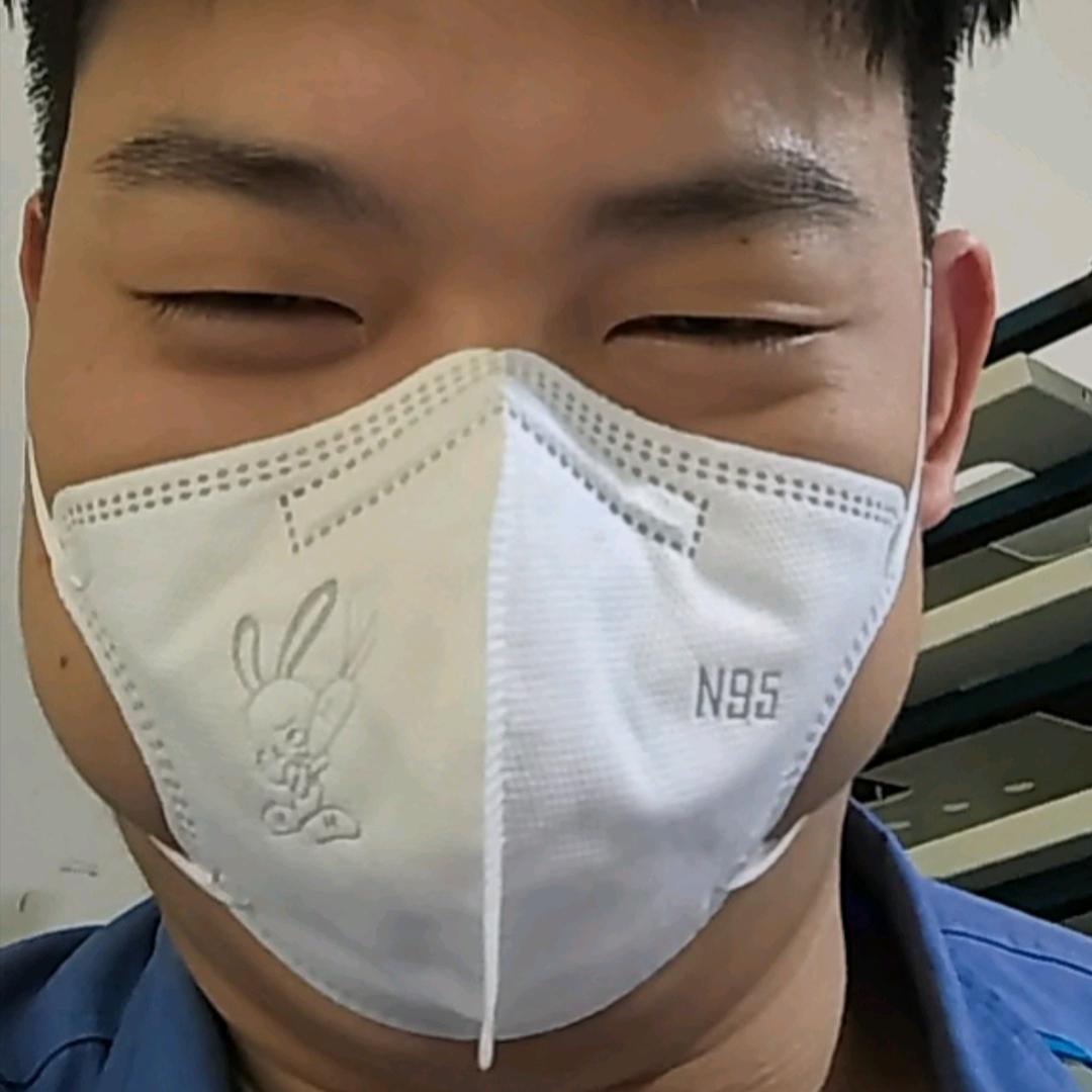 升华的波比