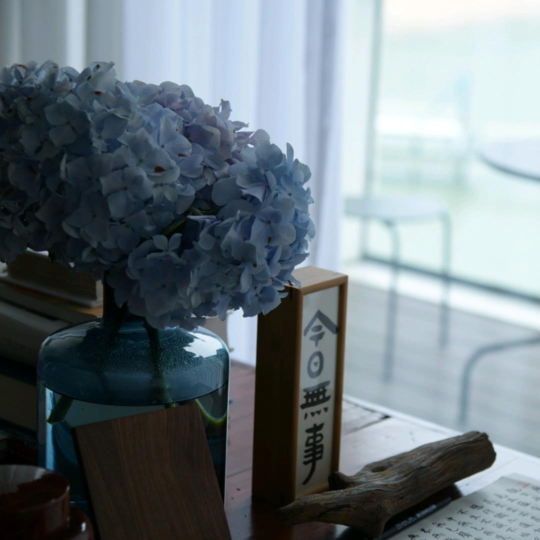 肆月（原鱼丸的新家）