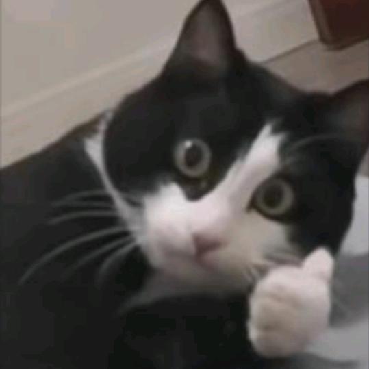 画风（拉屎顺畅版）