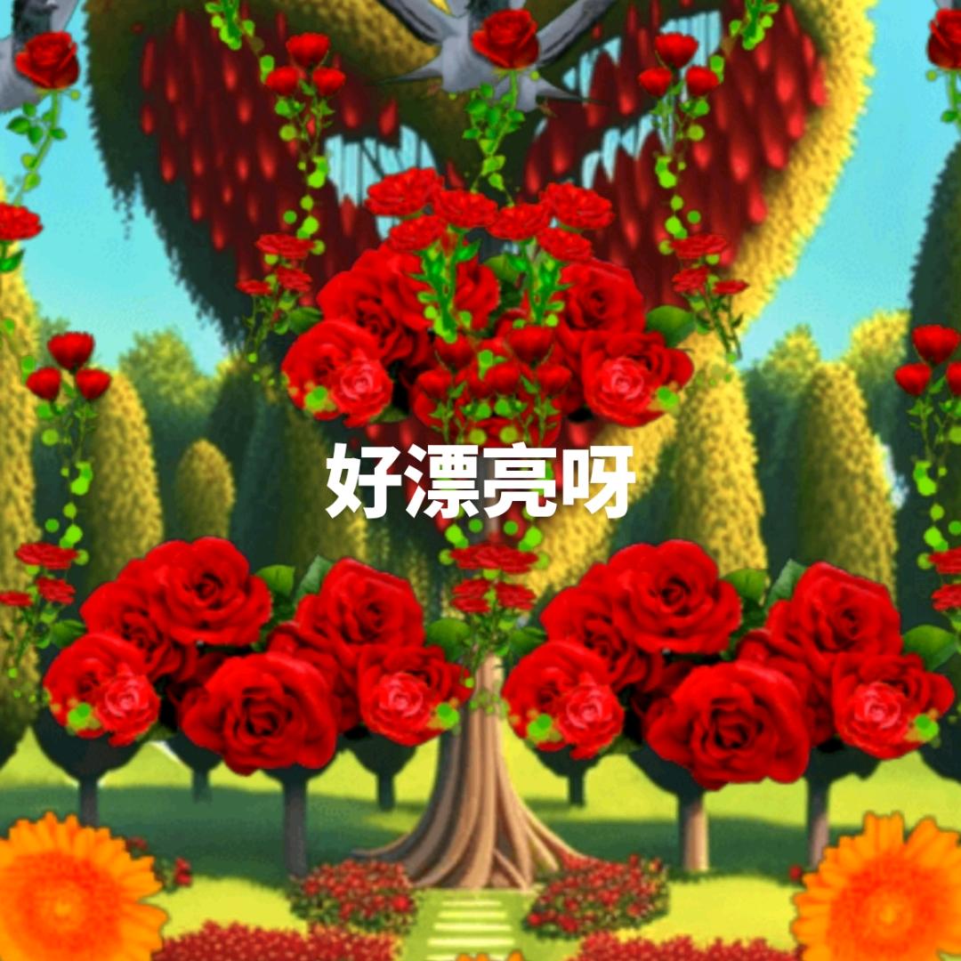 老了就不能玩抖音吗？