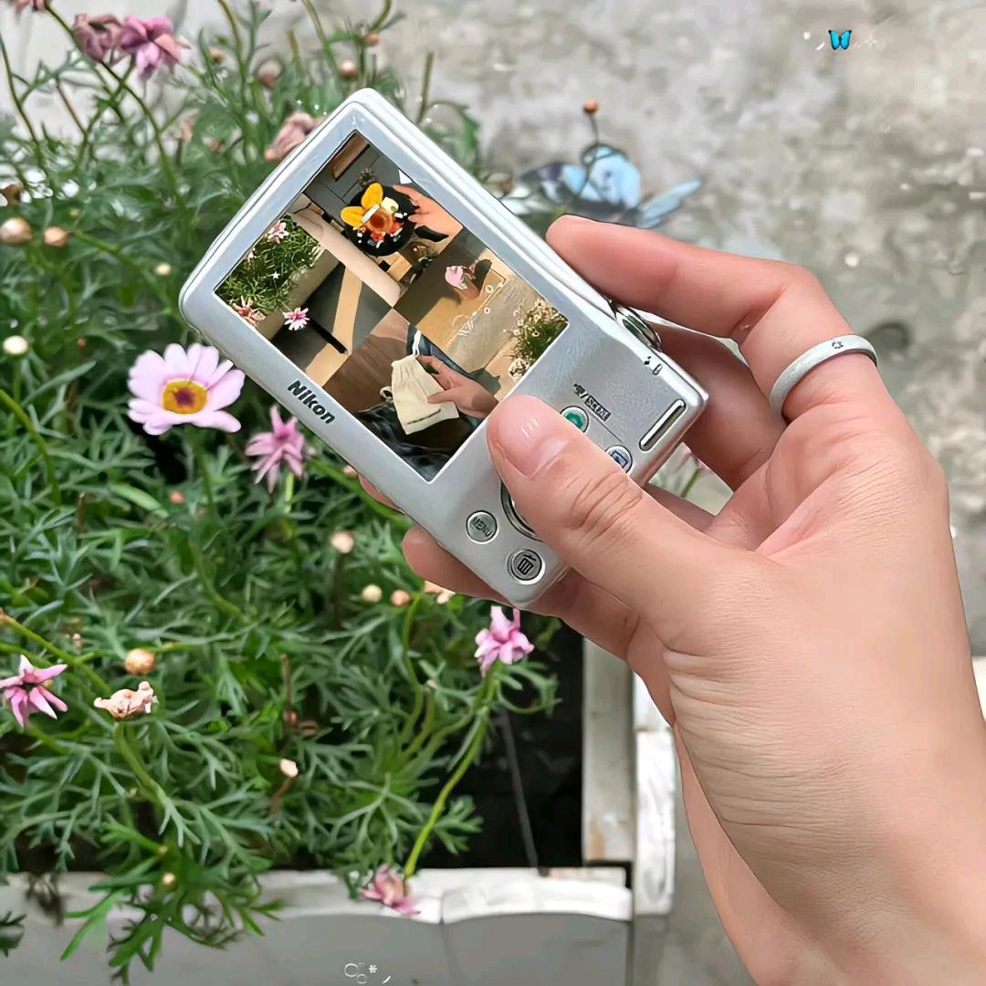 QQ荔枝糖🍬