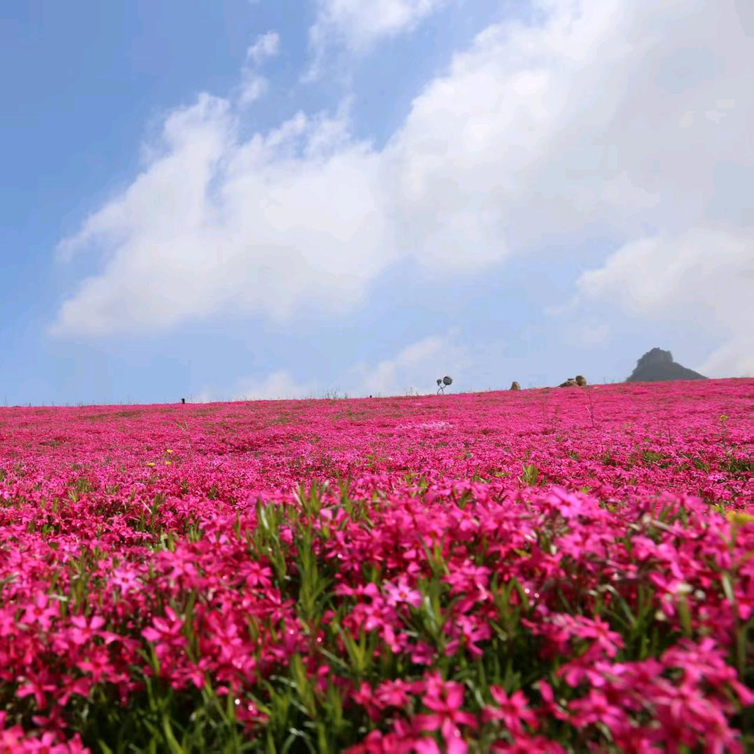 沂源县双马山景区