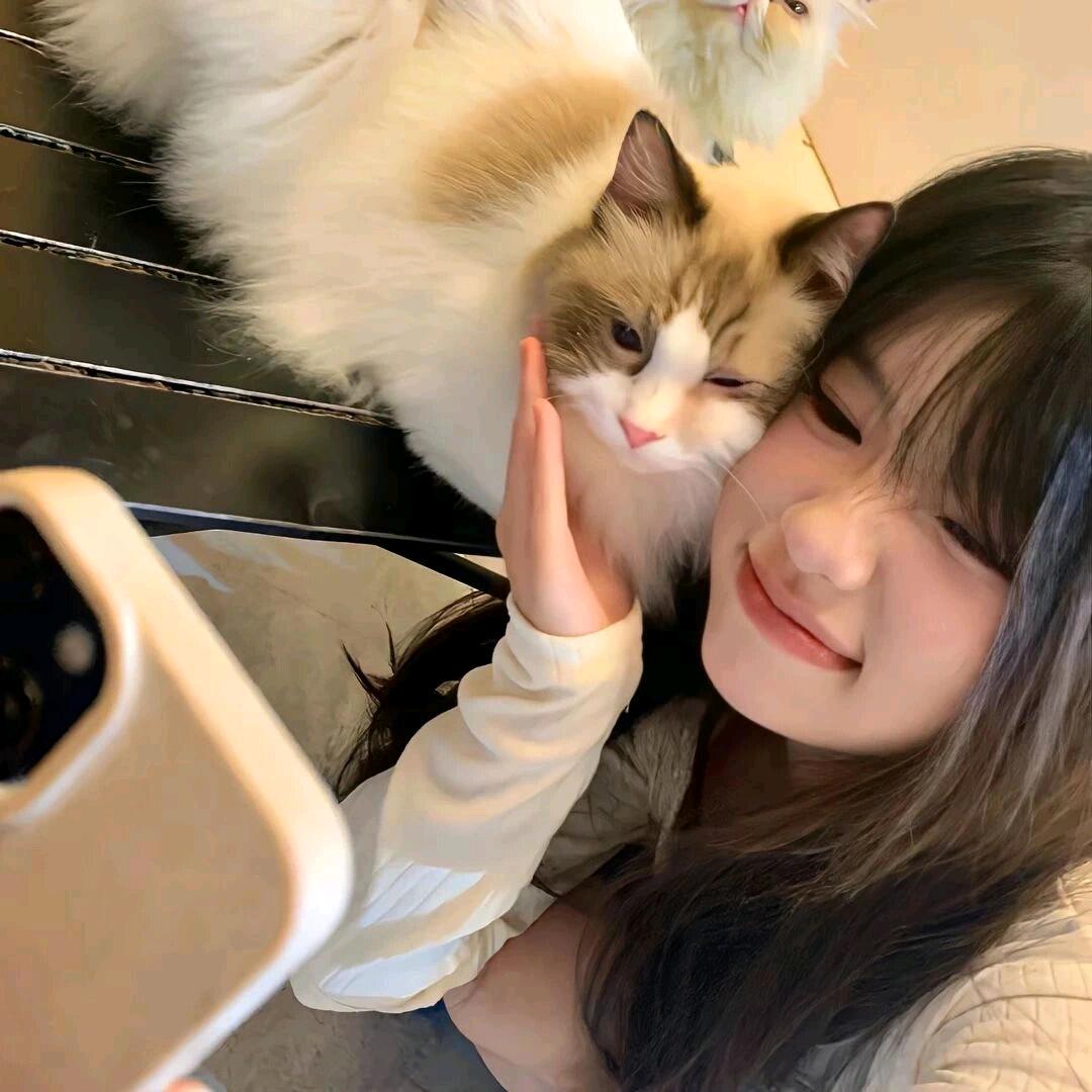 大蕾团团