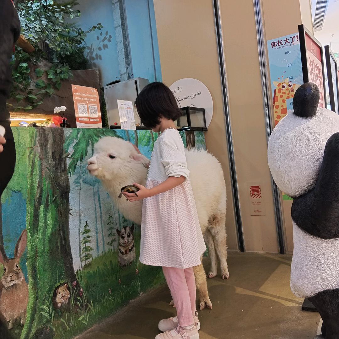 妹妹的搞笑日常