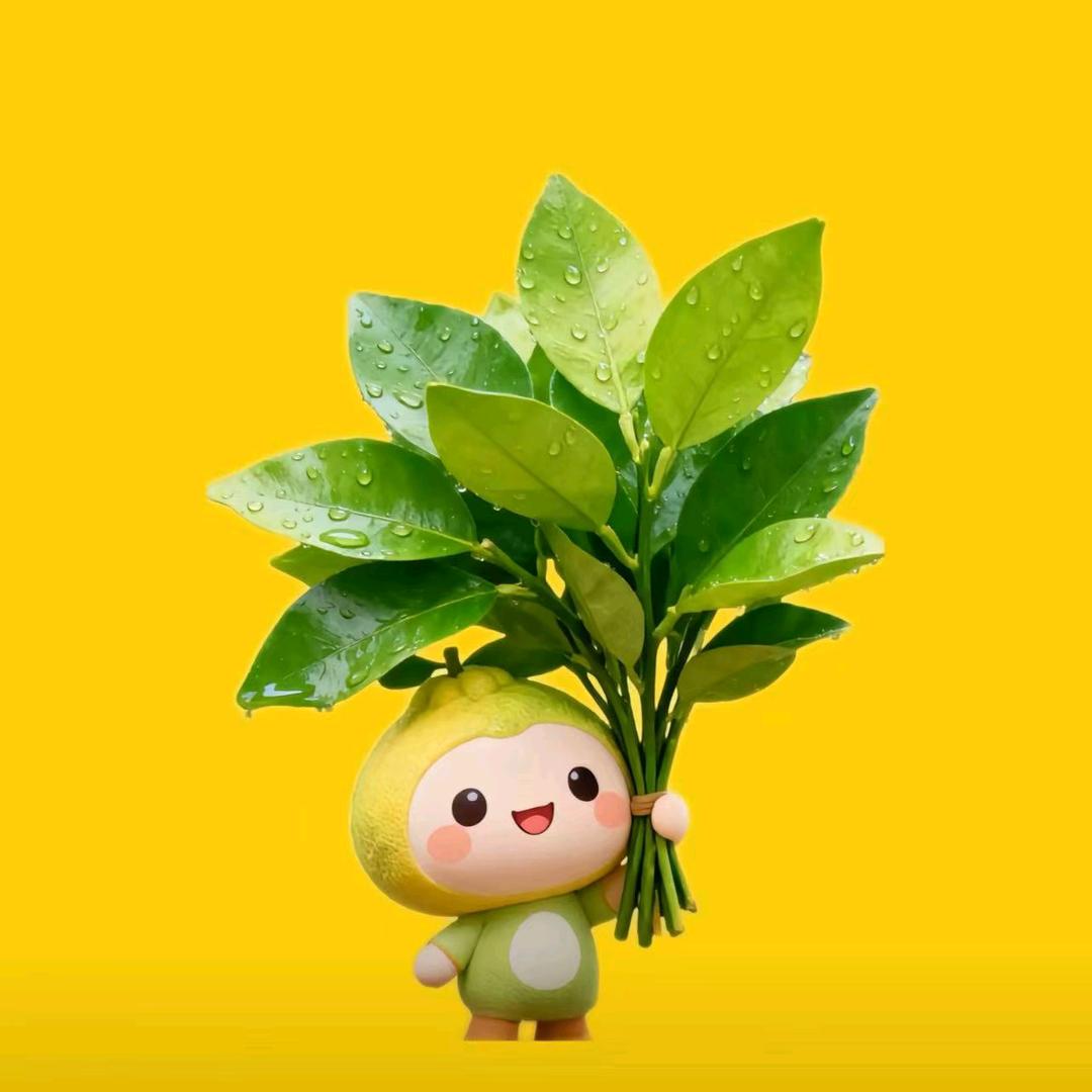 宜禾外贸