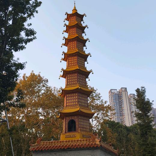 生活的日常