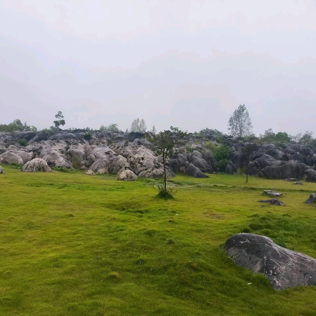 永远幸福周一至周五不定时开播。