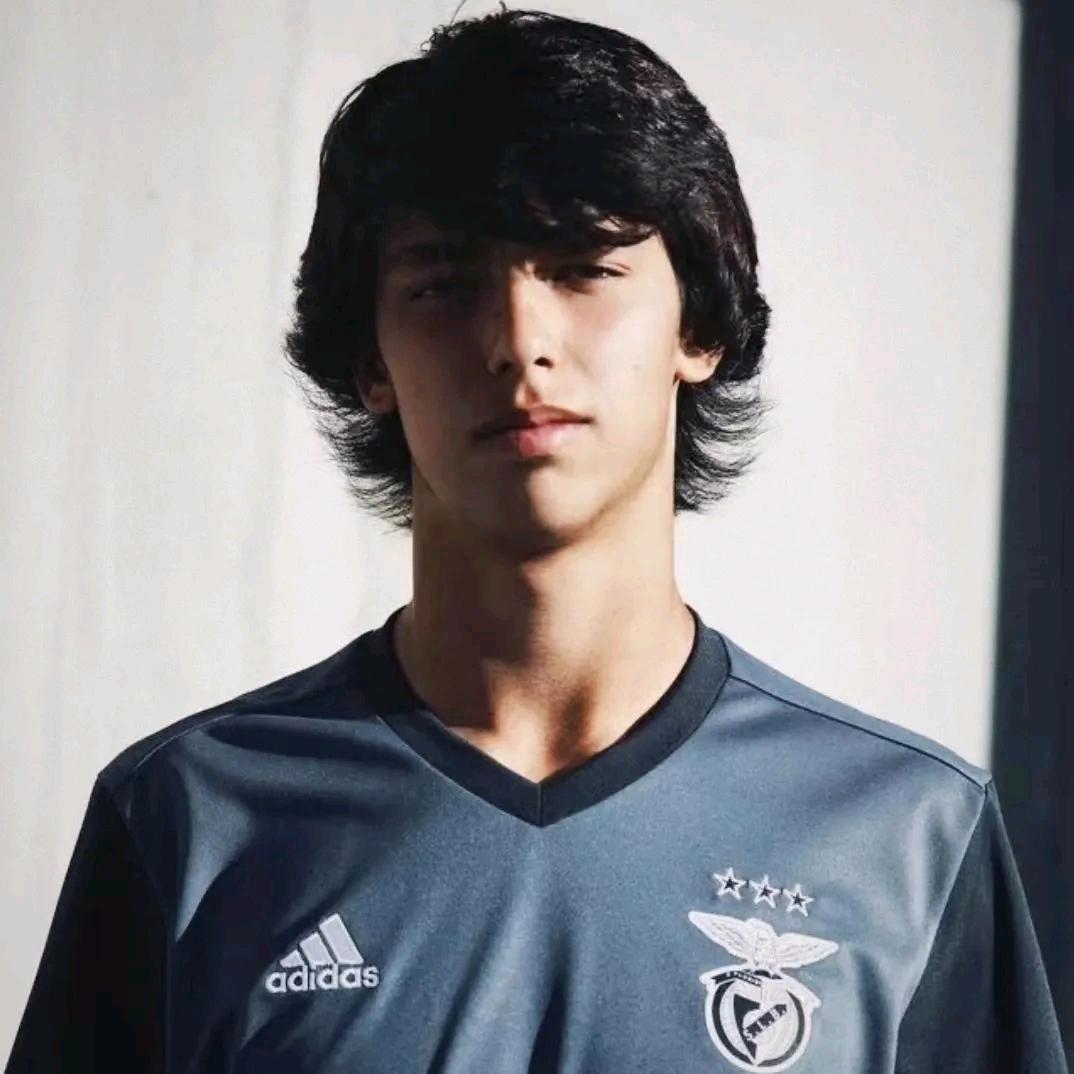 小达找到小柏了